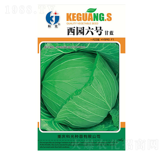 西園六號-科光種苗