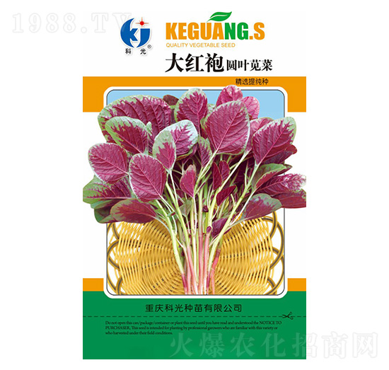 大紅袍圓葉莧菜-科光種苗