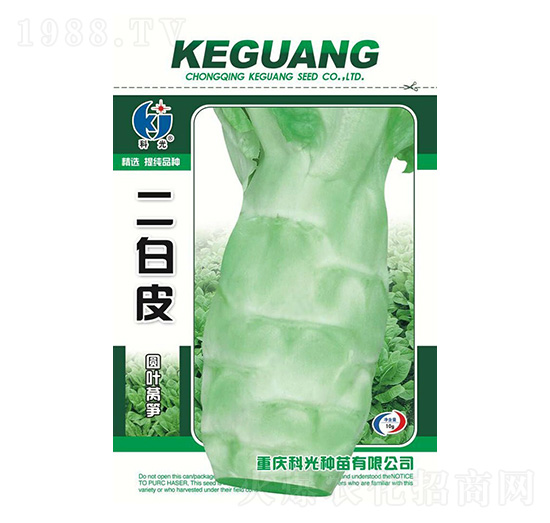 二白皮-科光種苗