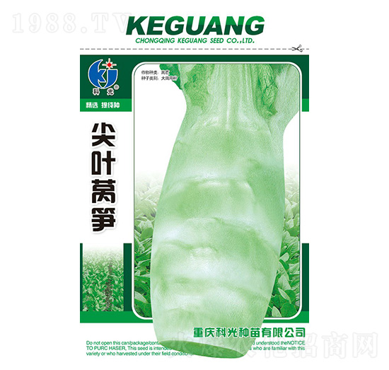 尖葉萵筍-科光種苗