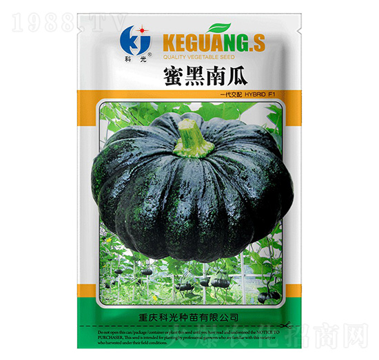 蜜黑南瓜-科光種苗
