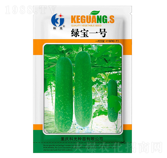 綠寶1號(hào)冬瓜-科光種苗