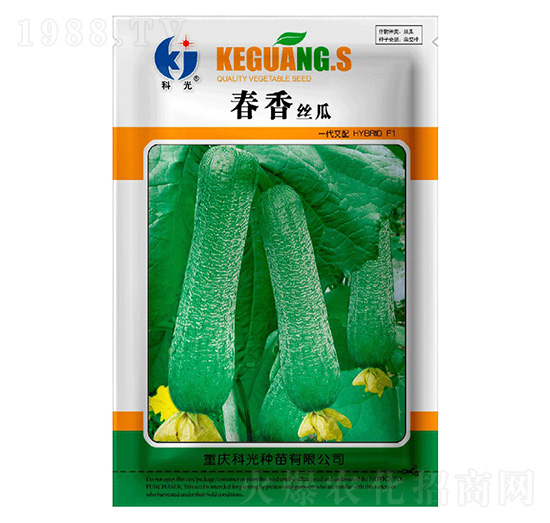 春香絲瓜-科光種苗