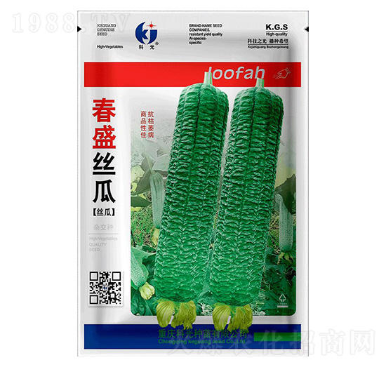 春盛絲瓜-科光種苗