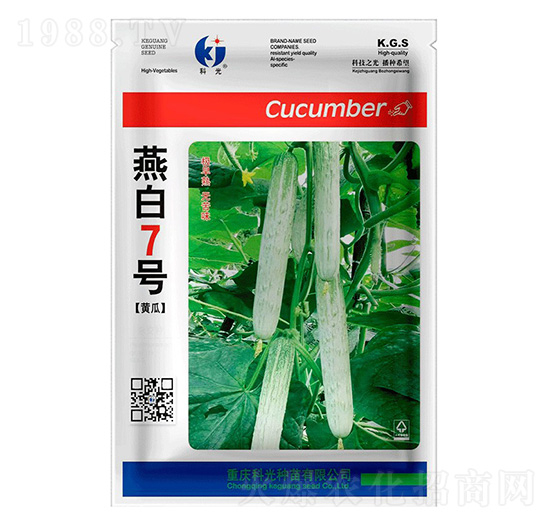 燕白7號(hào)-科光種苗