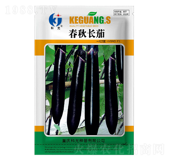 春秋長(zhǎng)茄-科光種苗