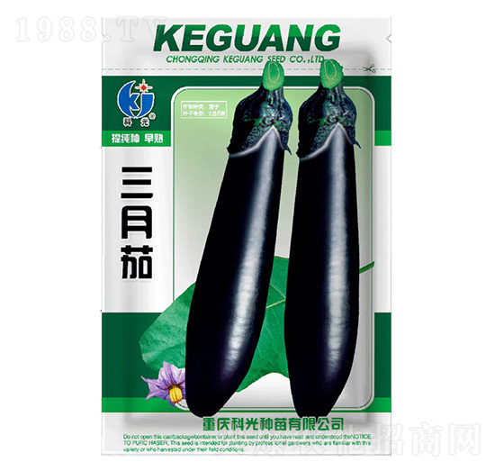 三月茄-科光種苗