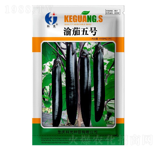 渝茄5號(hào)-科光種苗