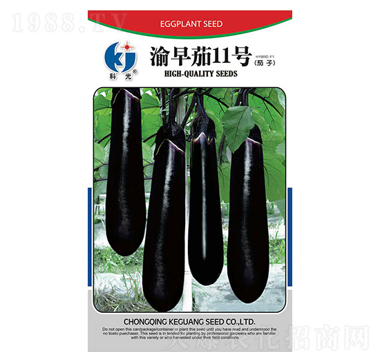 渝早茄11號-科光種苗