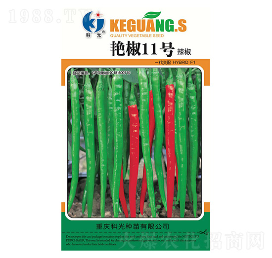 艷椒11號(hào)-科光種苗