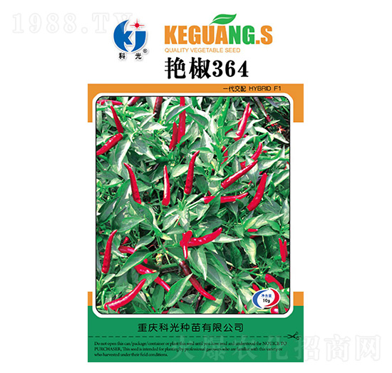 艷椒364-科光種苗