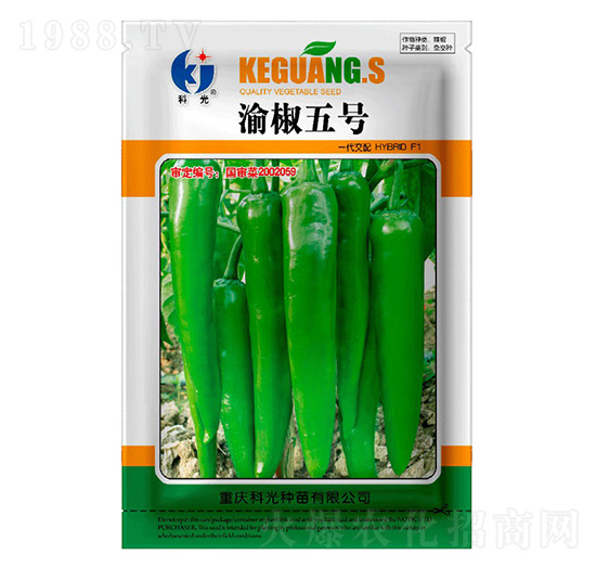 渝椒5號(hào)-科光種苗