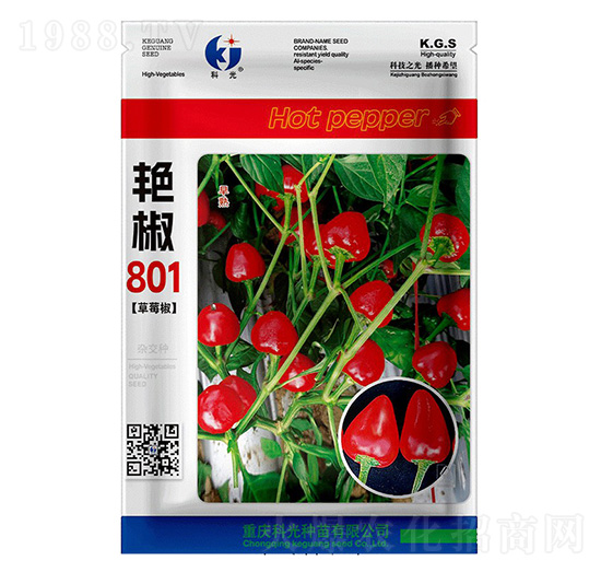 艷椒801-科光種苗