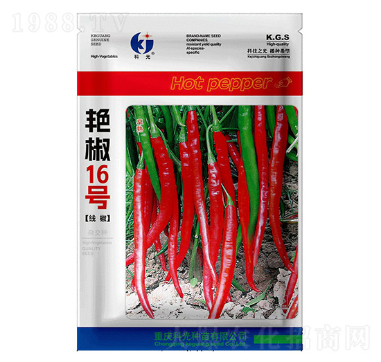 艷椒16號(hào)-科光種苗