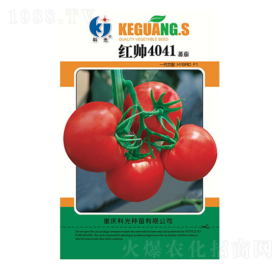 紅帥4041-科光種苗