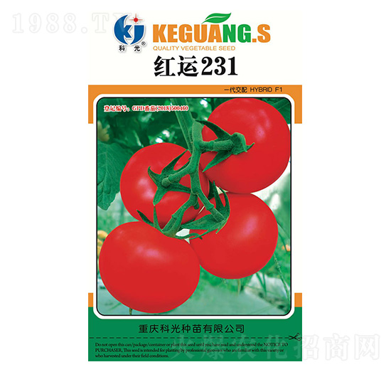 紅運(yùn)231-科光種苗