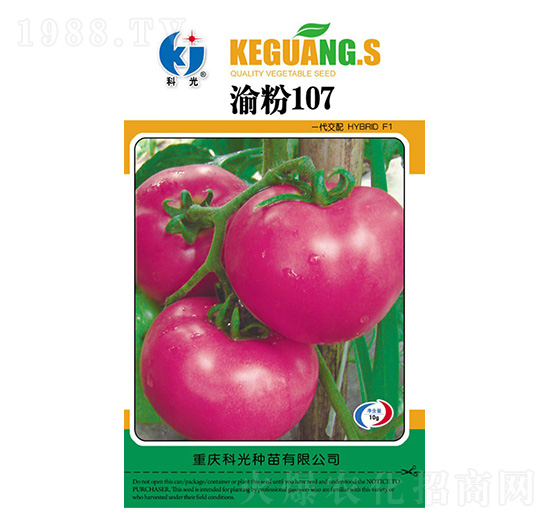 渝粉107-科光種苗