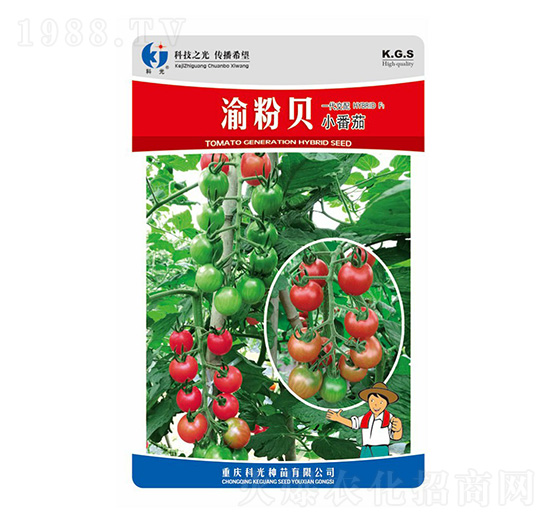 渝粉貝-科光種苗