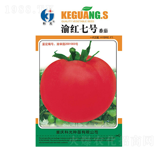 渝紅7號(hào)-科光種苗