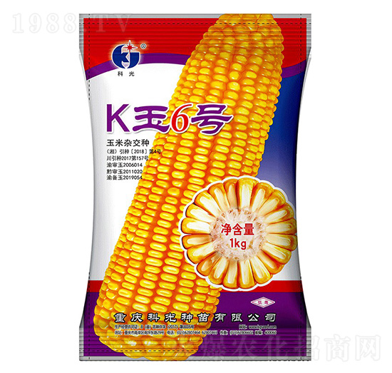K玉6號(hào)-科光種苗