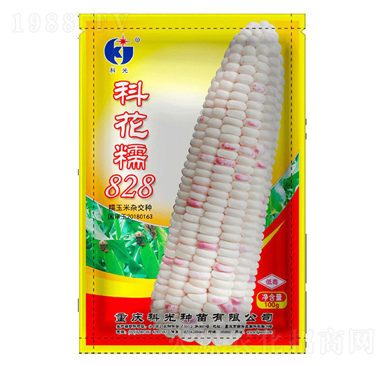 科花糯828-科光種苗