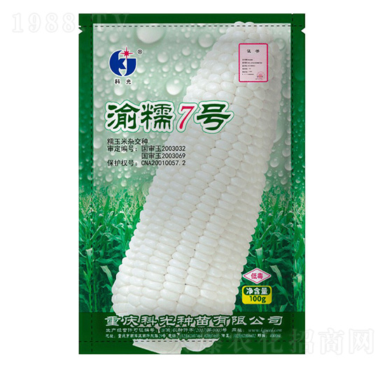 渝糯7號-科光種苗