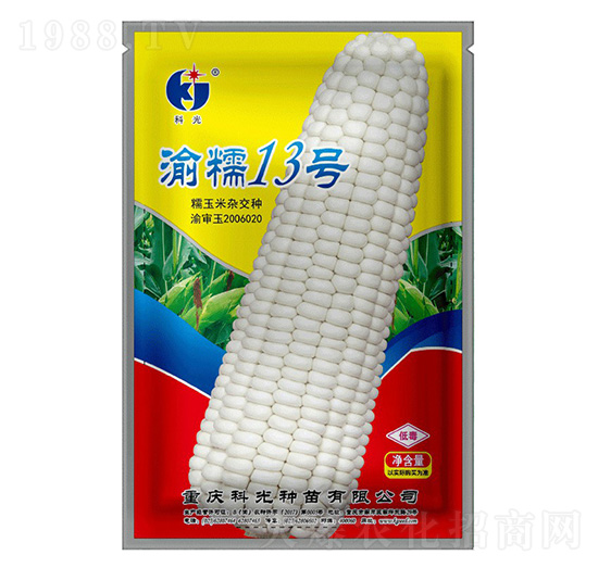 渝糯13號(hào)-科光種苗