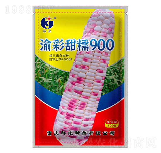 渝彩甜糯900-科光種苗