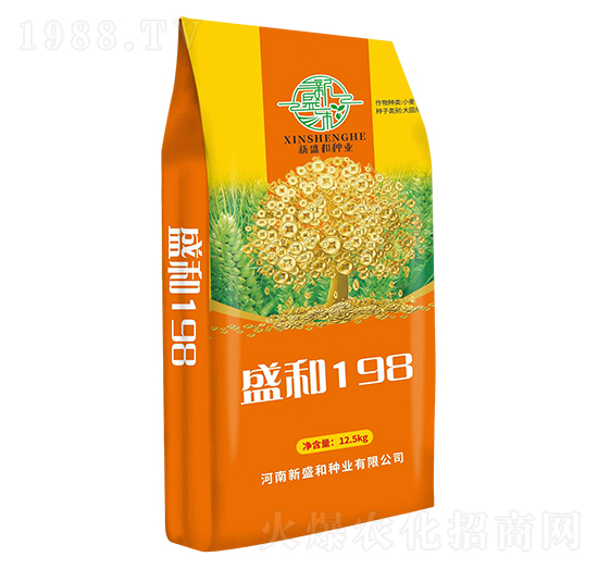 盛和198-小麥種子-紅太陽(yáng)