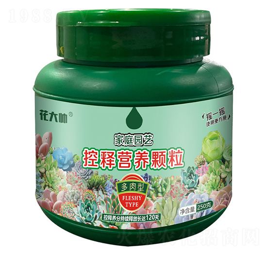 多肉型家庭園藝控釋營(yíng)養(yǎng)顆粒-花大帥-綠沃肥業(yè)