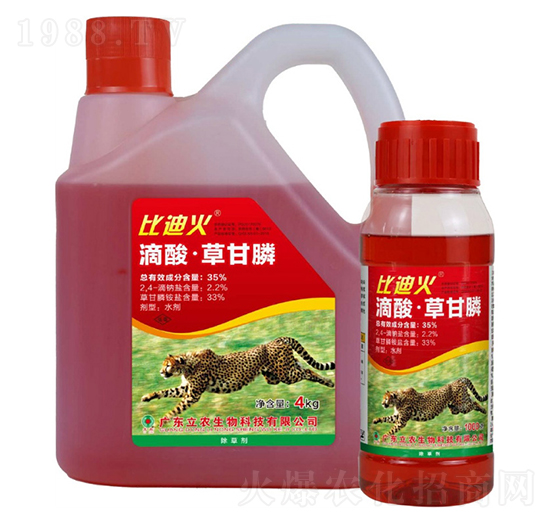 35%滴酸草甘膦（紅藥水）-比迪火-廣東立農(nóng)