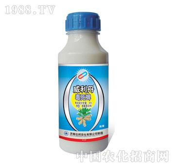 �˰�-������΢�z�҄�