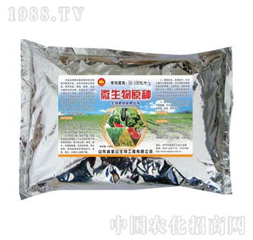 金山生物-微生物原種