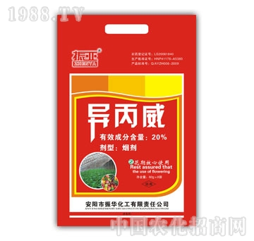 ���A����-20%������