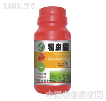 ���A����-���x��