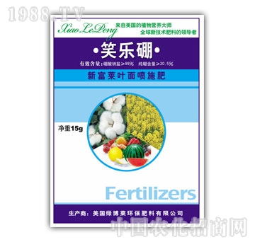 �G���R-Ц����15g��