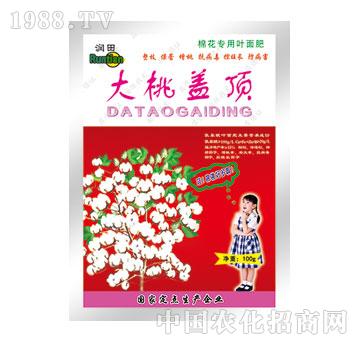 潤(rùn)田-大桃蓋頂