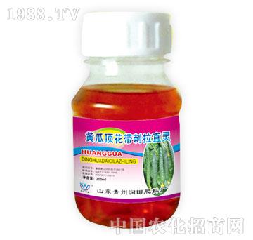 ����-�S��픻�������ֱ�`