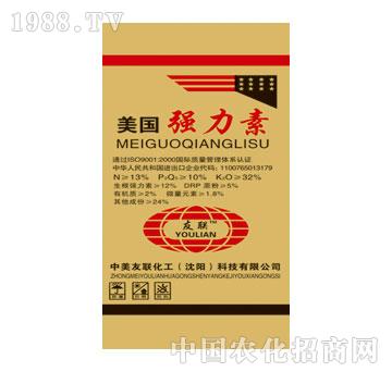 ����-����������