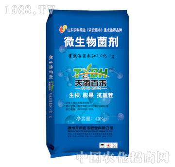 ����ٺ�-΢�������