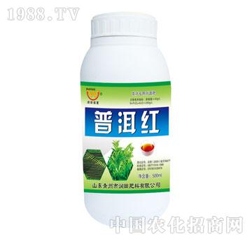 ����-�ն��t