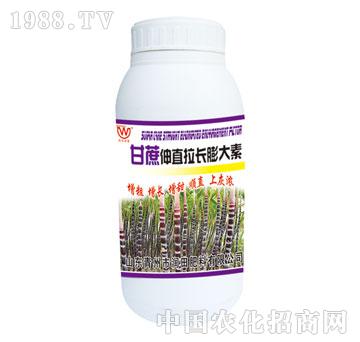 ����-������ֱ���L�����