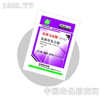 ����-�����¡