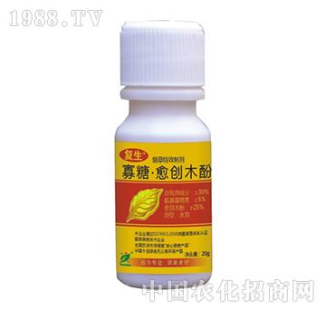 ��������(chu��ng)ľ��-��(f��)��-˼�h(yu��n)����