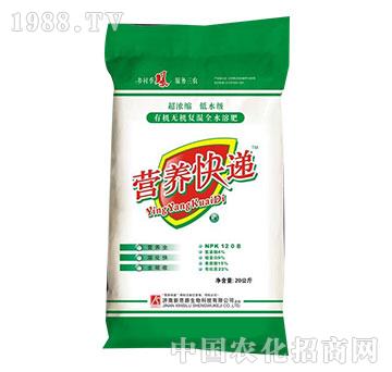 新思路-營養(yǎng)快遞12-0-8