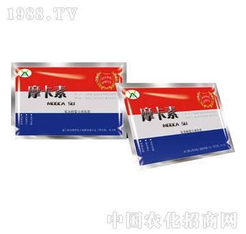 ����������Һ�ķʣ����b��-Ħ����-��о���H