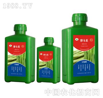 ���ǌ��ð���������Һ�ķ�-Ħ����-��о���H