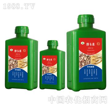 ��ˎ�Č��ð���������Һ�ķ�-Ħ����-��о���H