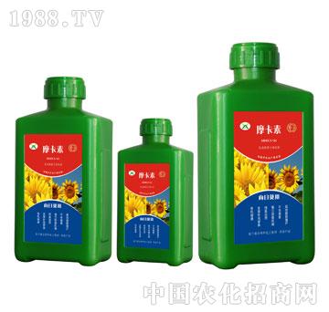 ���տ����ð���������Һ�ķ�-Ħ����-��о���H