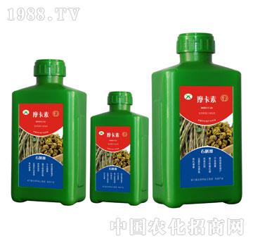 ʯ�����ð���������Һ�ķ�-Ħ����-��о���H